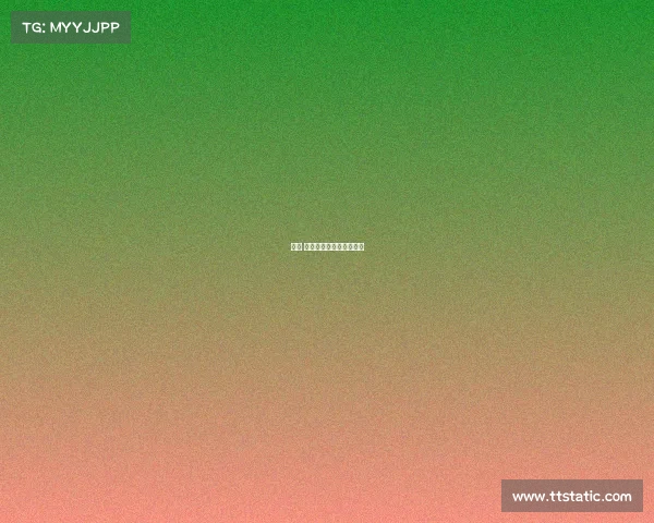 赛事 组织架构—赛事组织架构