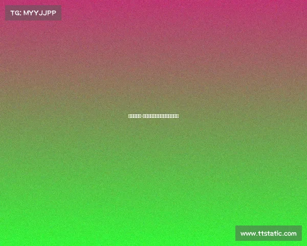 服务标准化-赛事—服务标准化包括哪些内容